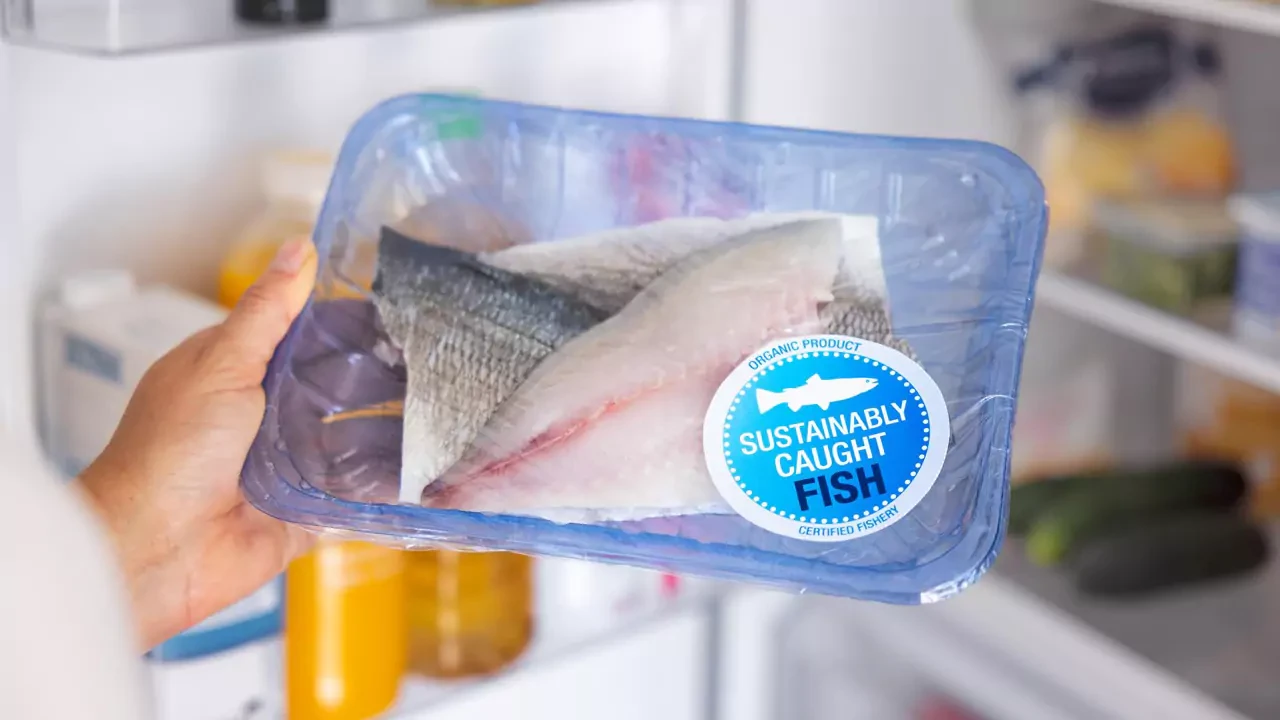 Cara Menyimpan Ikan Di Kulkas