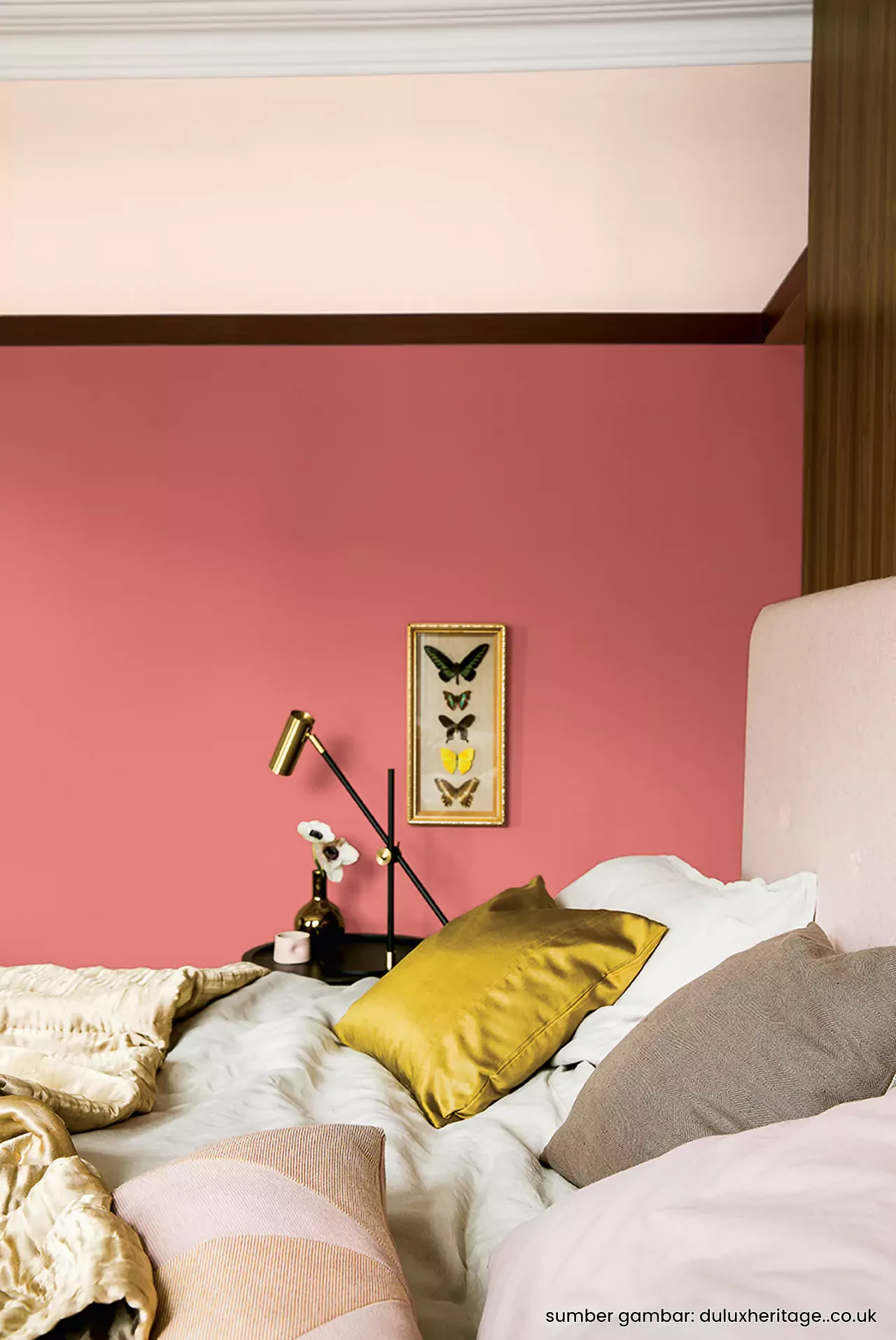 Cat Kamar Warna Coral Yang Bagus Untuk Perempuan