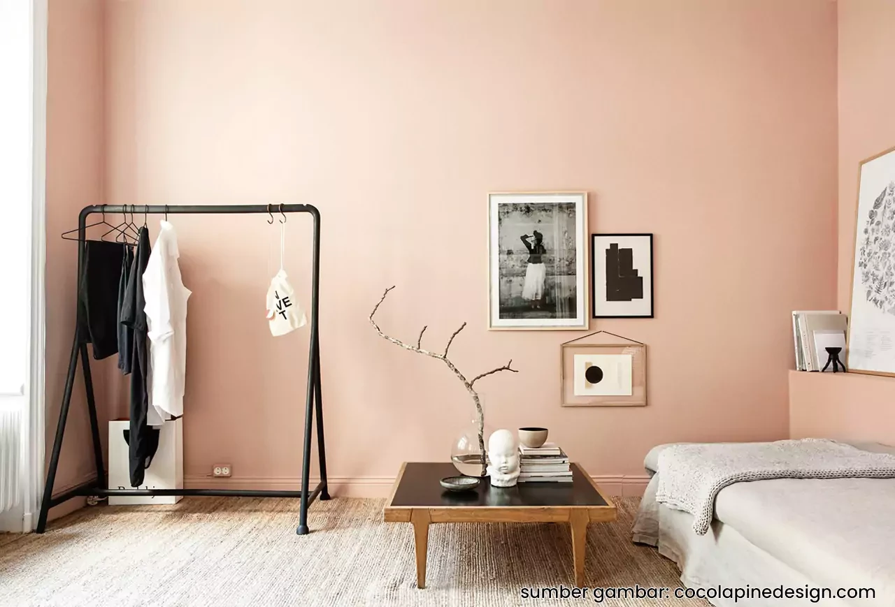 Cat Kamar Warna Salmon Yang Bagus Untuk Perempuan