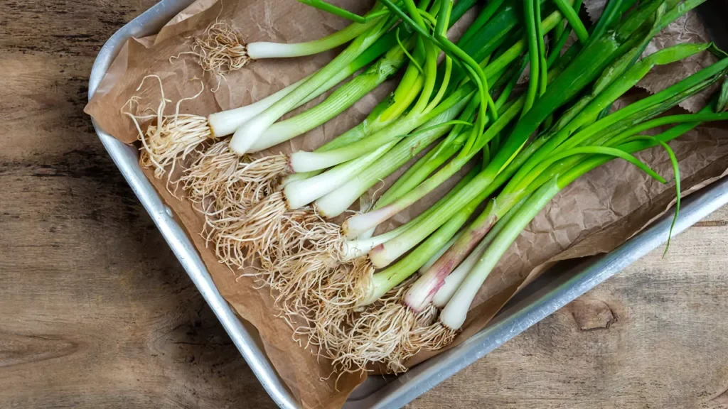 Cara Menyimpan Daun Bawang Di Kulkas