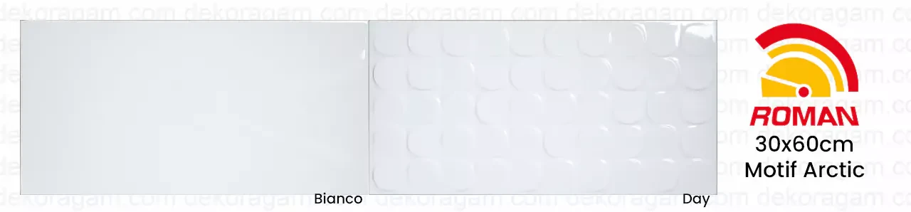 Katalog keramik roman 30x60 motif arctic