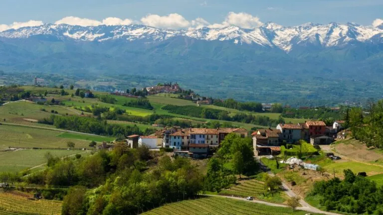 Tour Langhe: Tra Borghi, Colline e Castelli