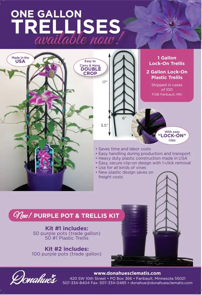 TRELLIS SHEET 2023