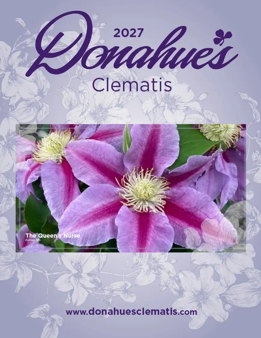 SCREENSHOT COVER PHOTO