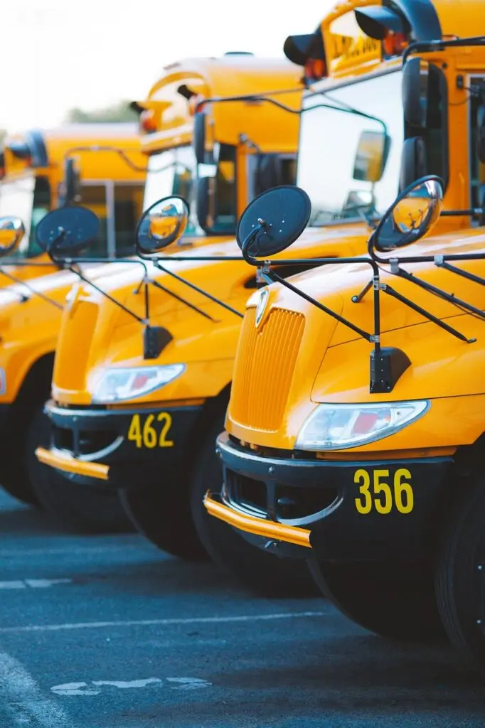 bus, school bus, vehicle, transportation, school, education, elementary, learning, school bus, school bus, school bus, school bus, school bus, school