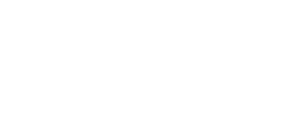 E-Trial-Arlberg