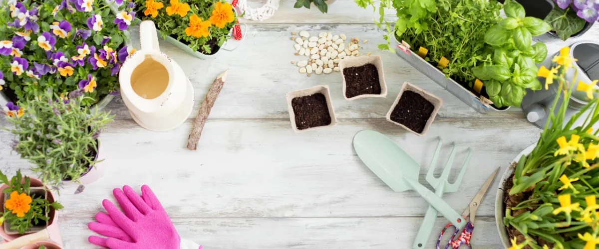 Best Indoor Gardening Kits