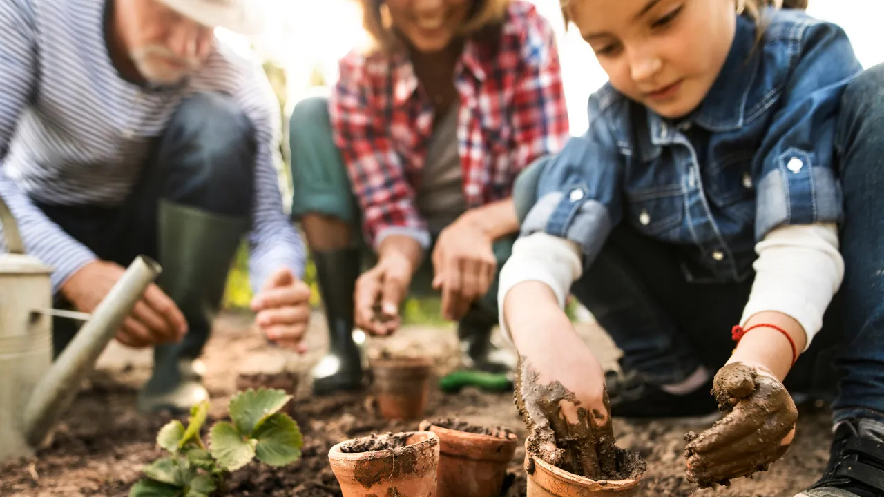 Gardening & Botanical Kits