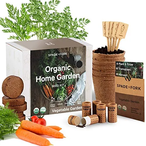 Home 38 Organic Indoor Vegetable Garden Starter Kit - Made in USA - Certified USDA Organic - 5 Seed Types Cherry Tomato, Lettuce, Carrot, Radish, Green Bean | Indoor Plant Seeds, Indoor Garden Kit, Plant Kit