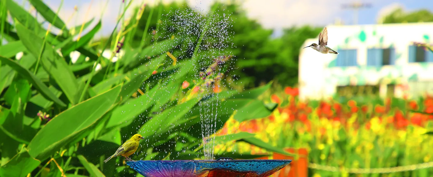 AISITIN 2.5W Solar Fountain Pump, DIY Outdoor Solar Water Fountain Pump with 6 Nozzles and 4ft Water Pipe, Solar Powered Pump for Bird Bath, Ponds, Garden and Fish Tank Garden, Pond 9 solar fountain