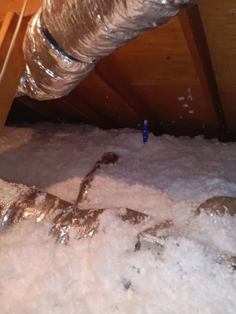 Attic Insulation Near Me for Lower Energy Bills