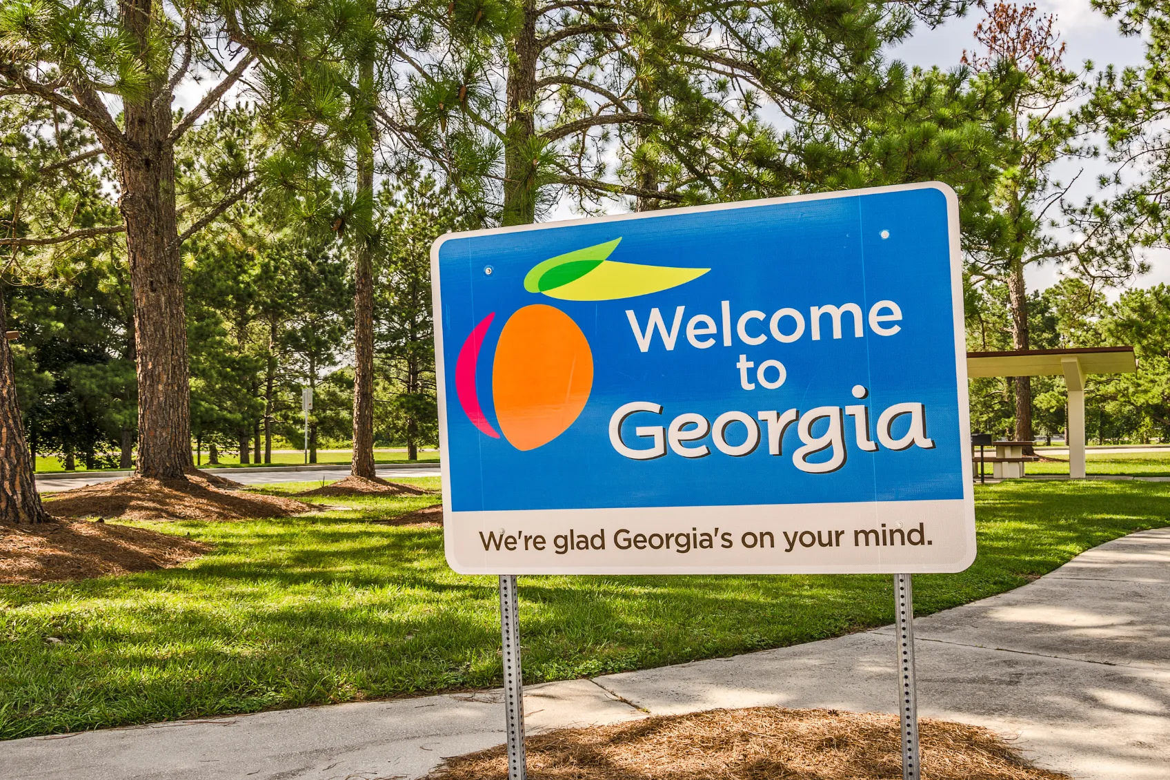Georgia Real Estate north georgia homes luxury properties in Milton Canton Watkinsville