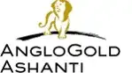 AngloGold Ashanti logo featuring a gold lion standing on a black arc above the company name in black text.