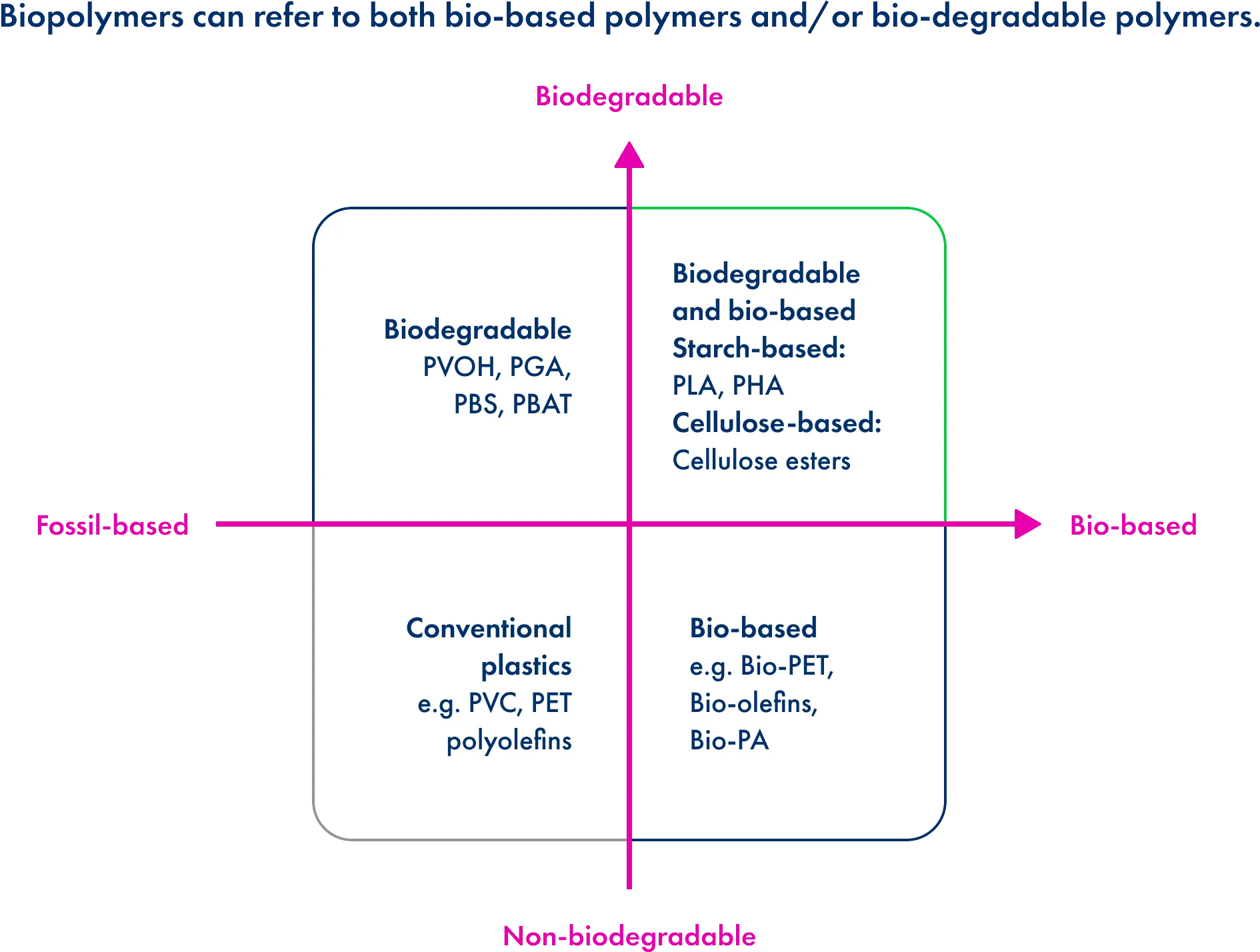 Biopolymer
