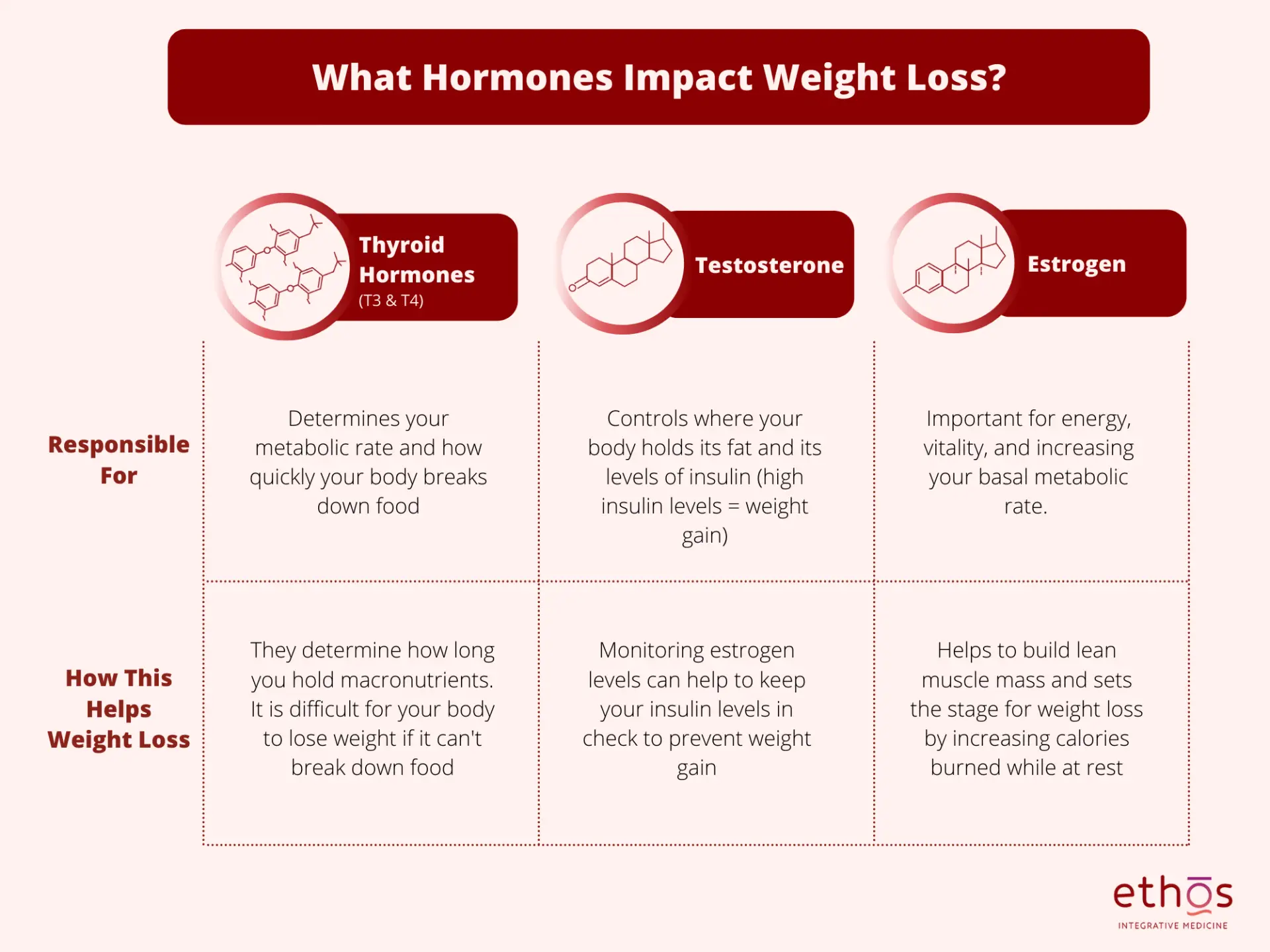 How hormones impact weight-loss. An original graphic from Ethos Integrative Medicine