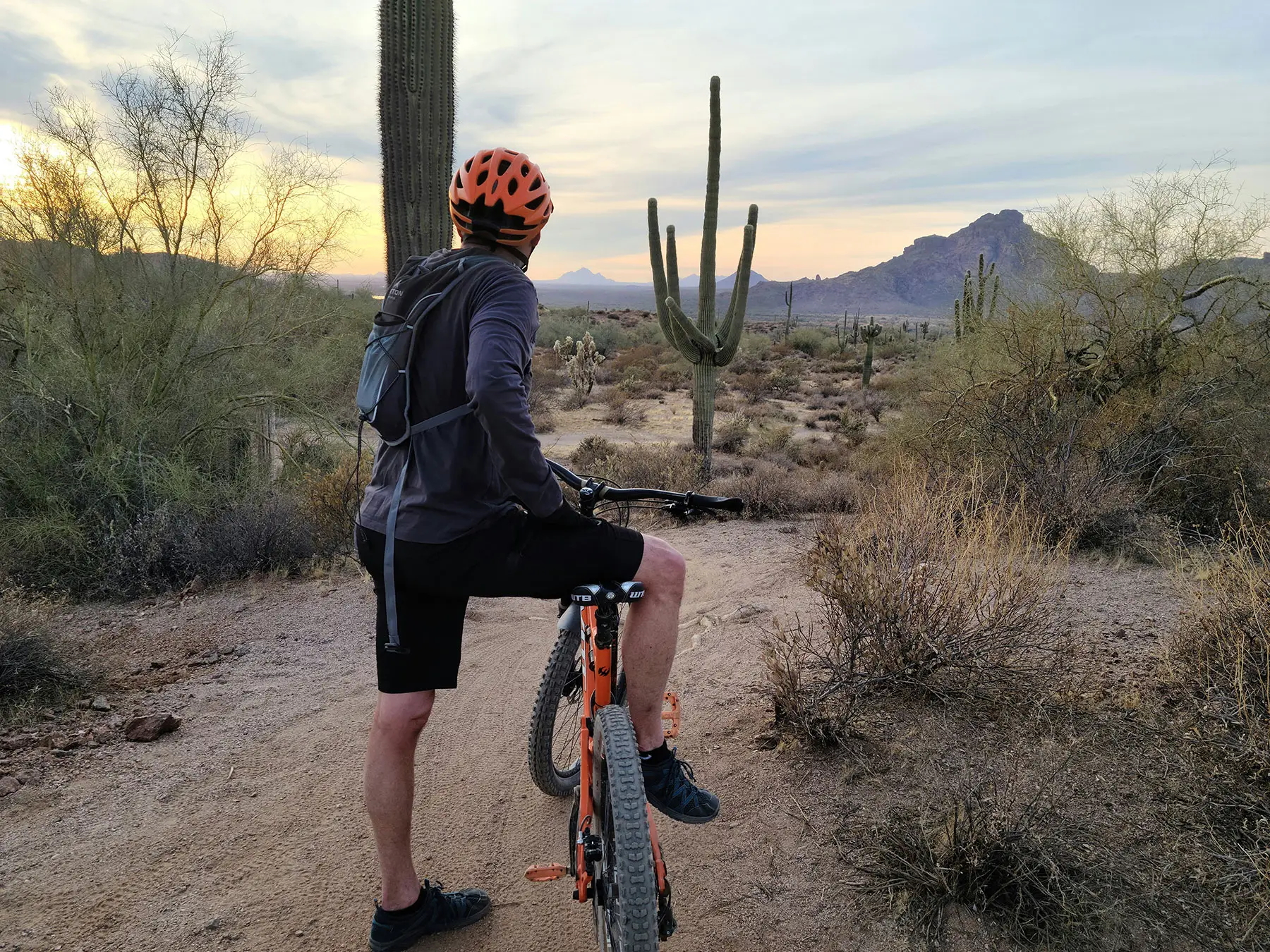 Mountain biker overlooking the Scottsdale desert