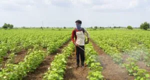Pedestrian Killed in Harlingen: What You Need to Know 10 The Impact Of Paraquat Exposure On Farmworkers In Texas
