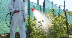 Pedestrian Killed in Harlingen: What You Need to Know 11 Alternatives To Paraquat In Texas Agriculture