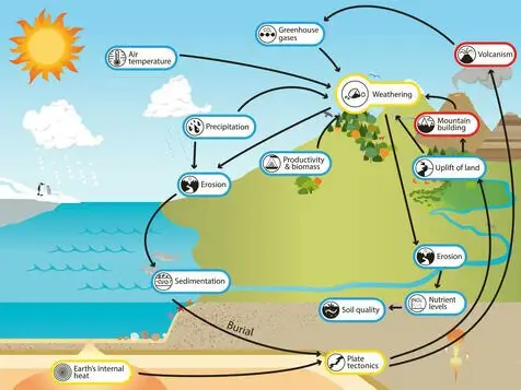 Earth system model