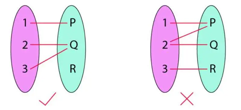 Function