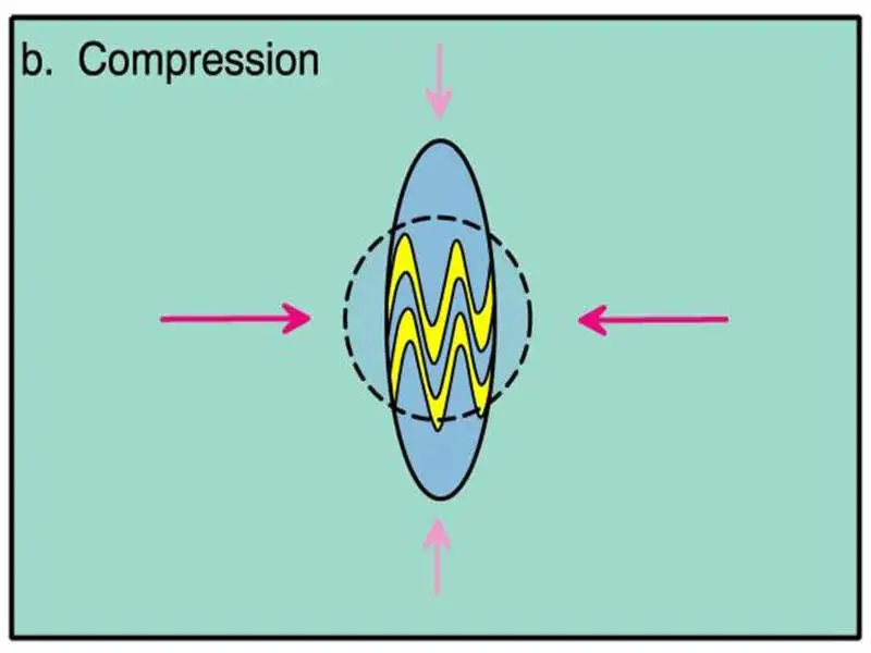 Compression
