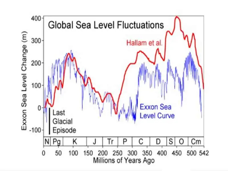 Variation of the sea level during the Phanerozoic eon