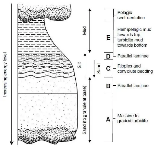 The Units of Bouma Sequence