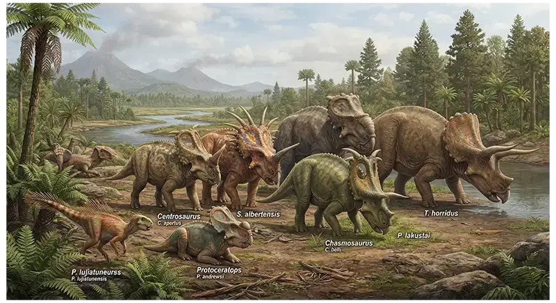 Famous ceratopsians including Psittacosaurus, Protoceratops, Styracosaurus, and Triceratops
