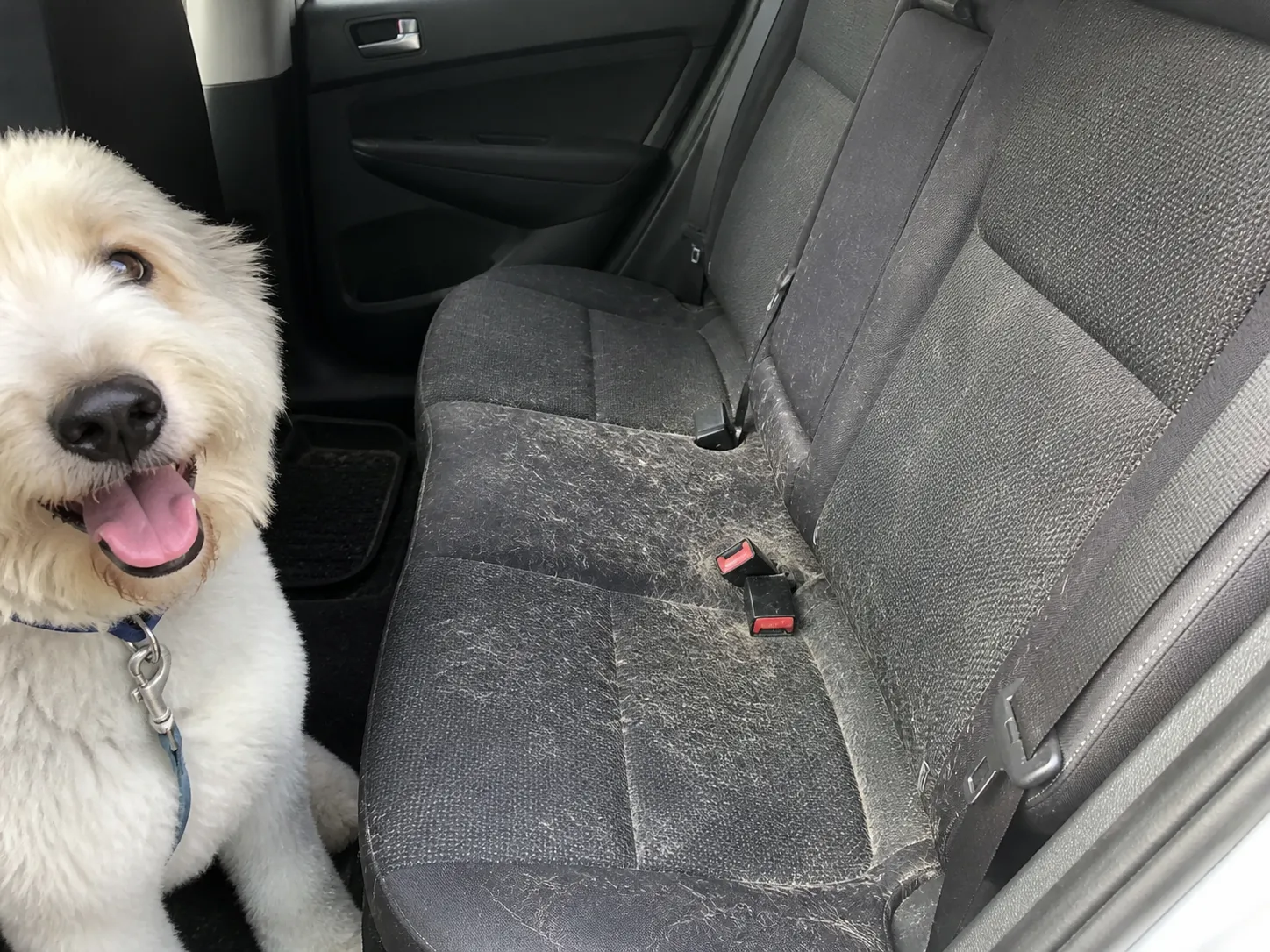 Fabric car seat cleaning example
