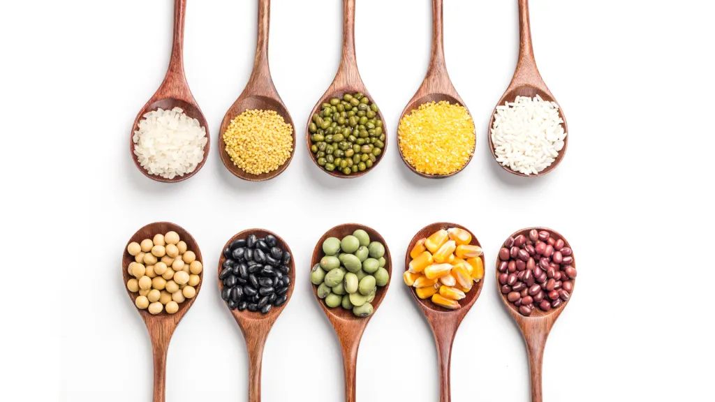 Protein Ingredients