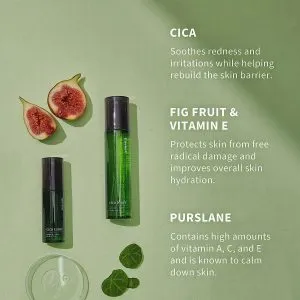 Cica Toners Feature
