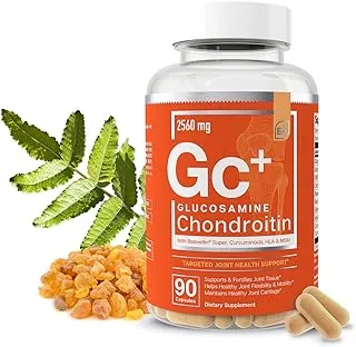 Essential Elements Glucosamine Chondroitin MSM Boswellia Serrata