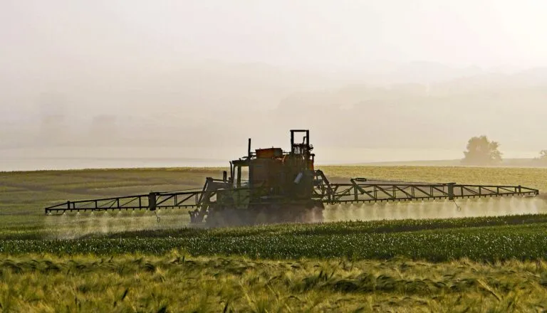 Ein Traktor besprüht bei Sonnenaufgang oder Sonnenuntergang unter einem dunstigen Himmel die Pflanzen auf einem Feld.
