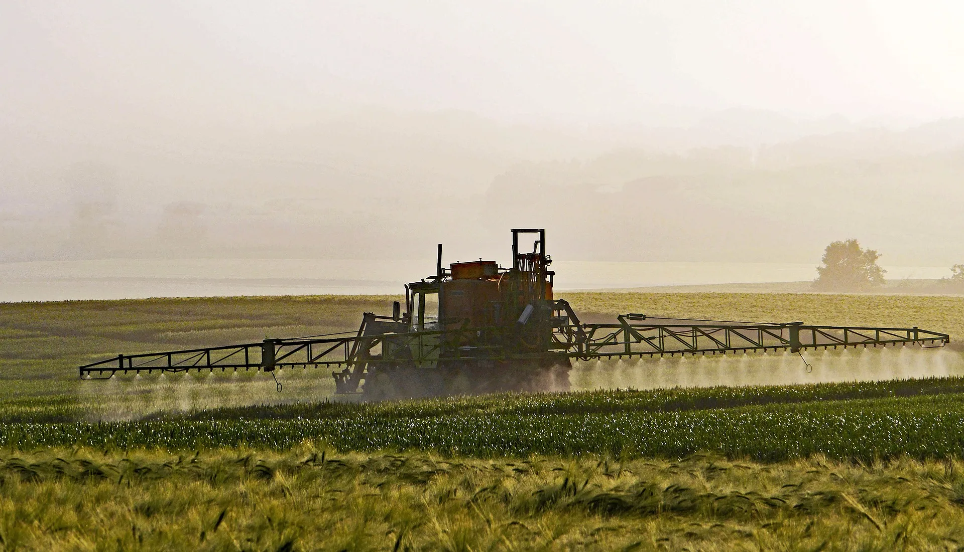 Ein Traktor besprüht bei Sonnenaufgang oder Sonnenuntergang unter einem dunstigen Himmel die Pflanzen auf einem Feld.