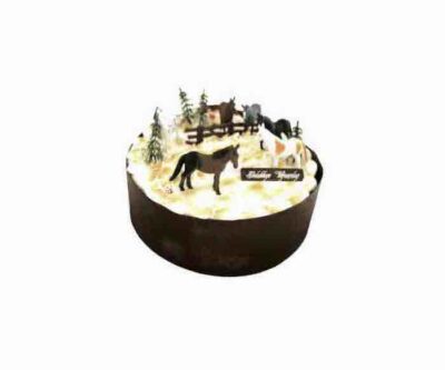 Paarden