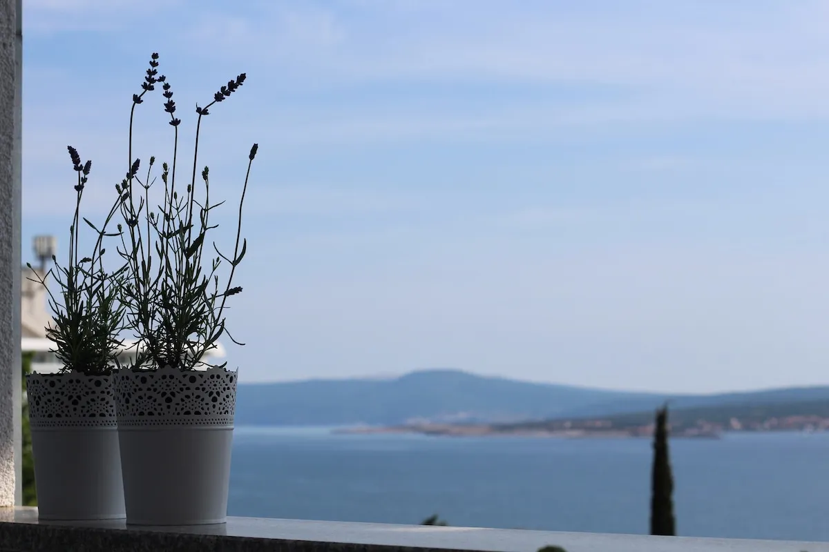 Apartman Marija 4