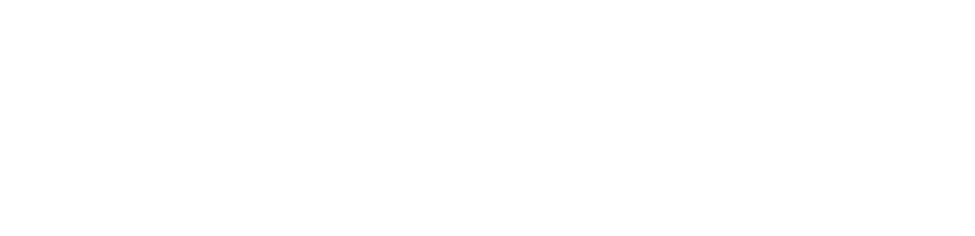 iGUIDE Logo - White