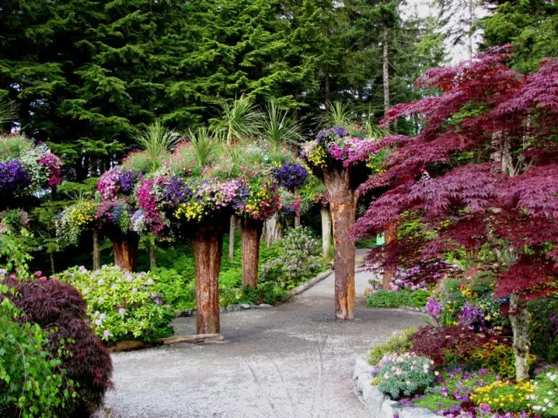Hidden Gems in Juneau: The Best Places to Visit for Every Kind of Traveler 3 Glacier Gardens Upside Down Forest