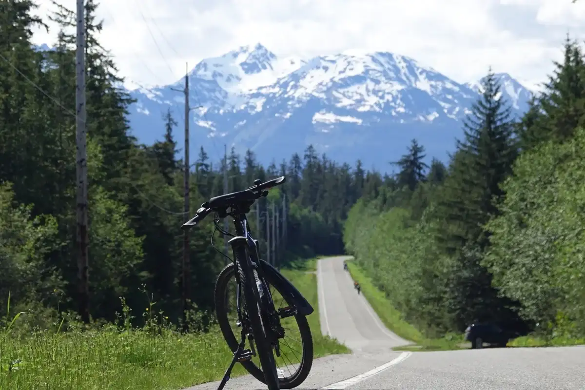 Juneau E-Bike Tours for Cruise Passengers | iRide Alaska 1 eBike on a winding road through green forest with snow-capped Alaska mountains.