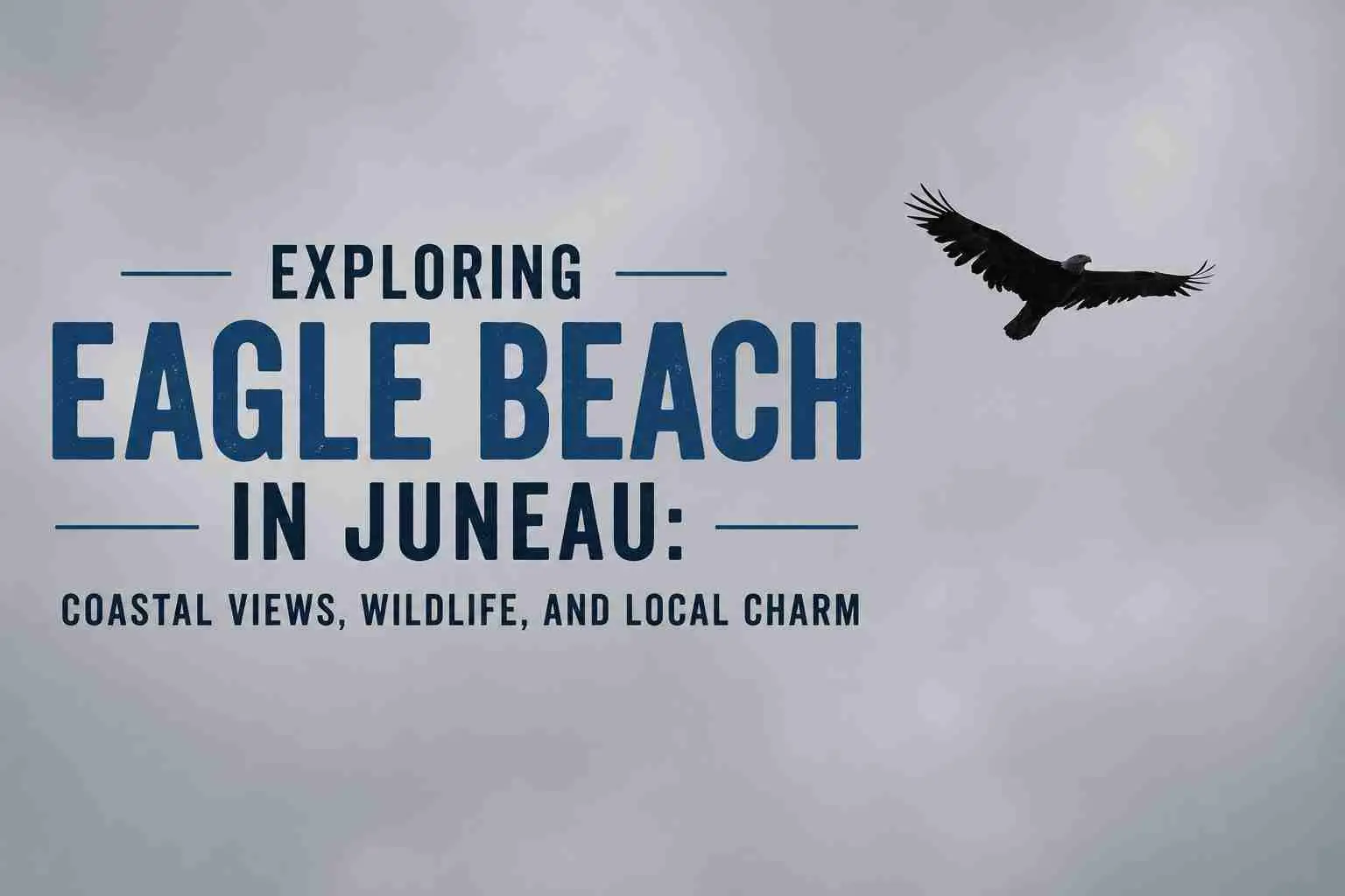 Exploring Eagle Beach in Juneau: Coastal Views, Wildlife, and Local Charm