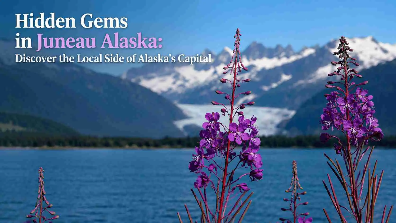 Hidden Gems in Juneau Alaska: Discover the Local Side of Alaska’s Capital