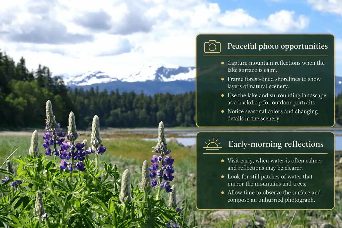 11 Instagram-Worthy Photo Spots in Juneau That Showcase the Best of Alaska 6 Auke Lake Quiet Reflections and Mountain Scenery