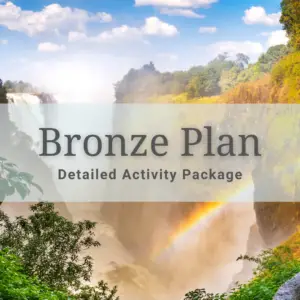 Bronze Plan