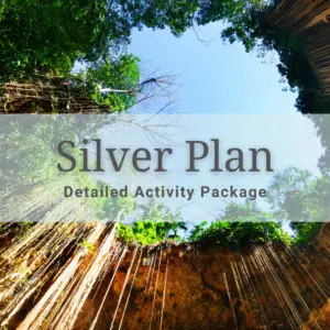 Silver Plan
