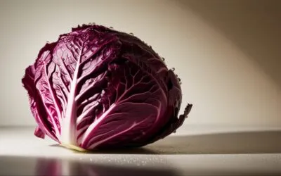 Ist Rotkohl im Rotkohl-Salat für Keto geeignet?