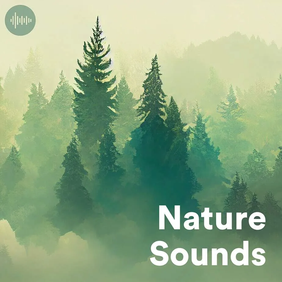 Nature Sounds & Relaxing Music Spotify Playlist: Your Digital Forest Bath for Stress Relief