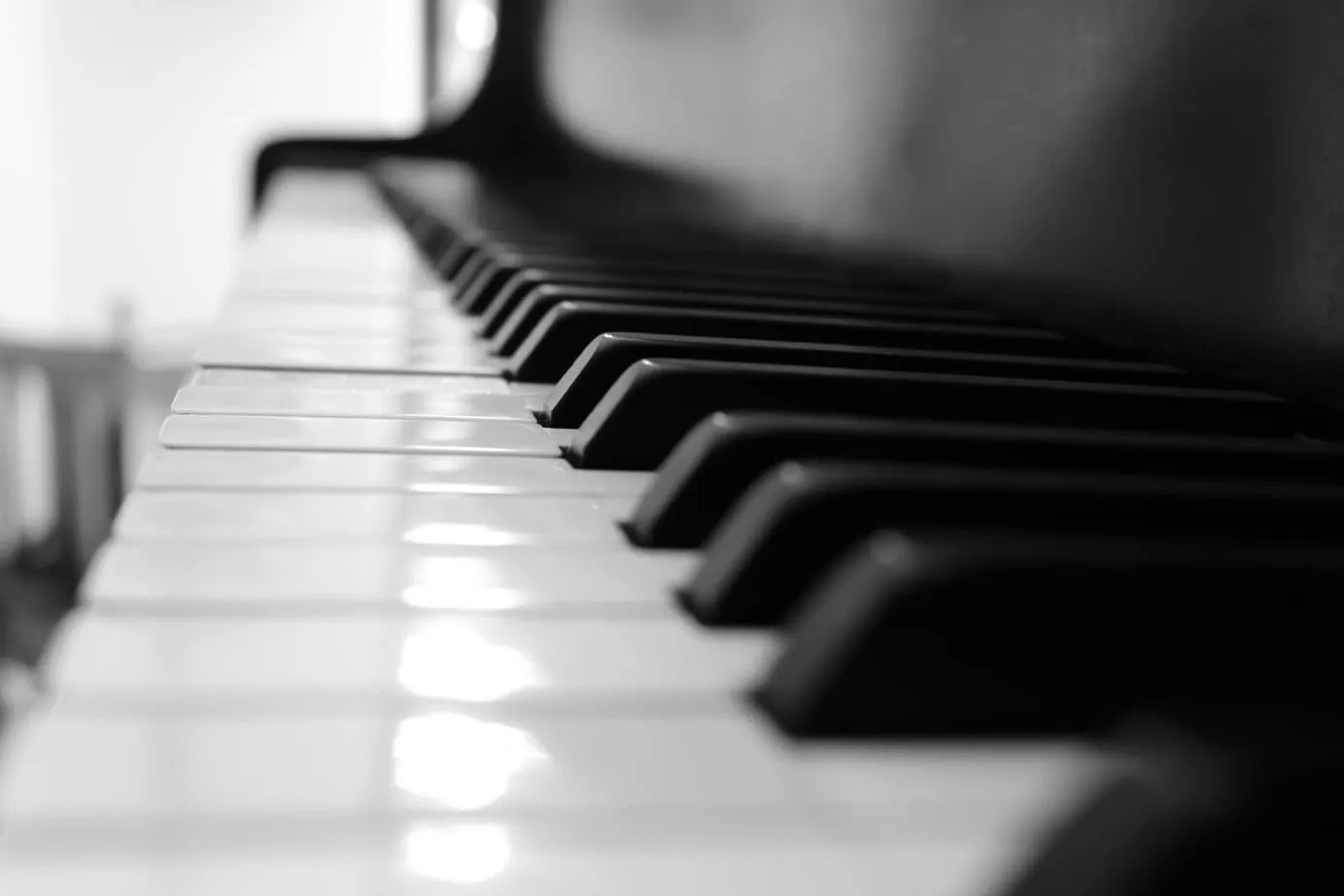 Close-up of piano keys