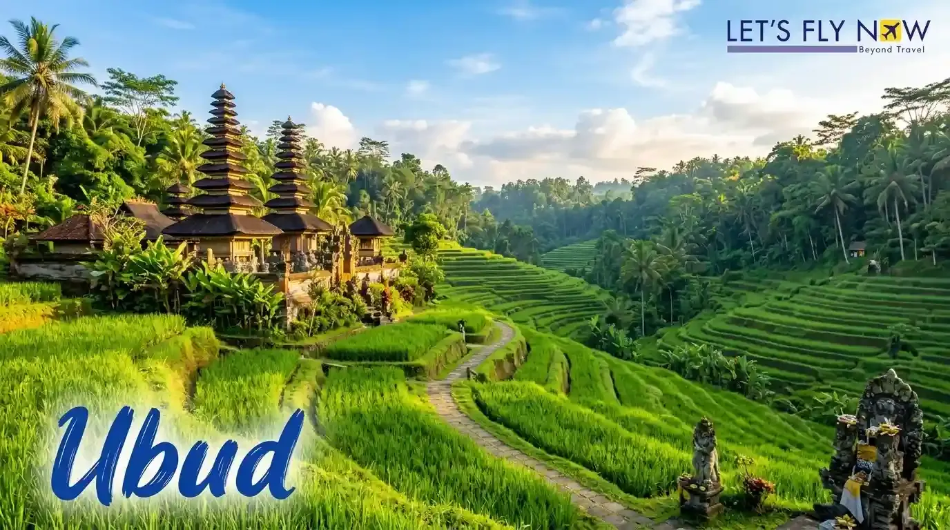 Ubud Bali rice terraces and tropical landscape