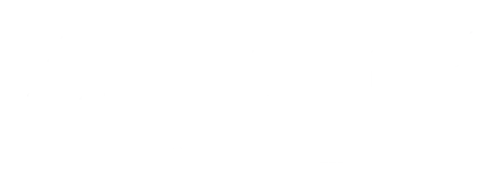 Level Four Advisory Logo