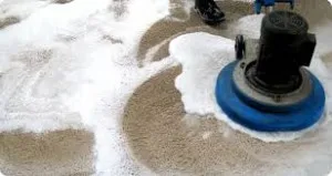 carpet cleaner los angeles